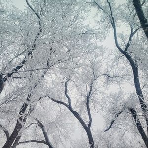 Meet your Posher, Sophia